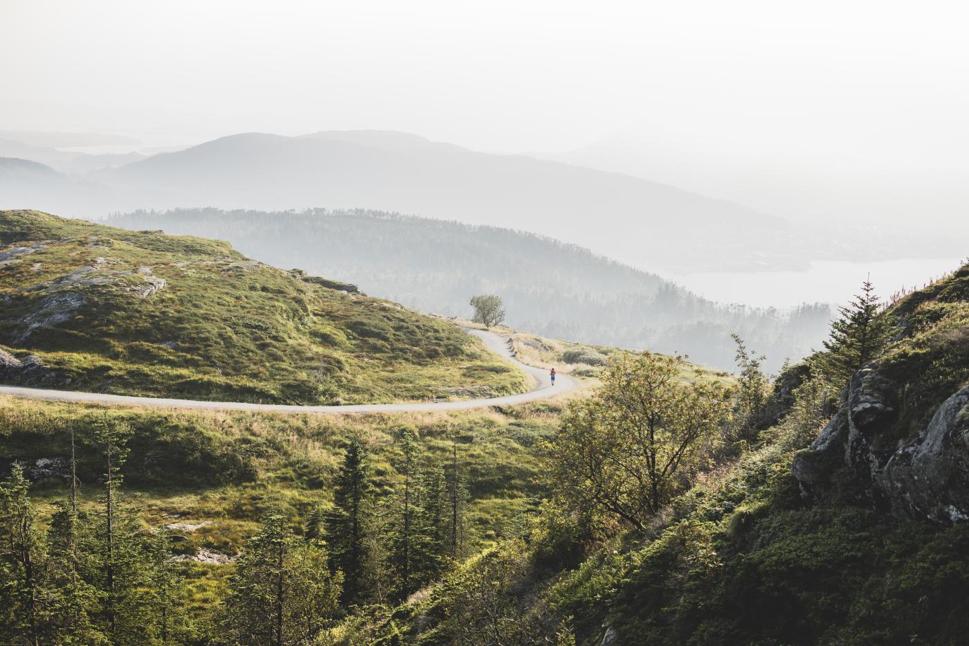 momentista-713pcr_owf8-unsplash