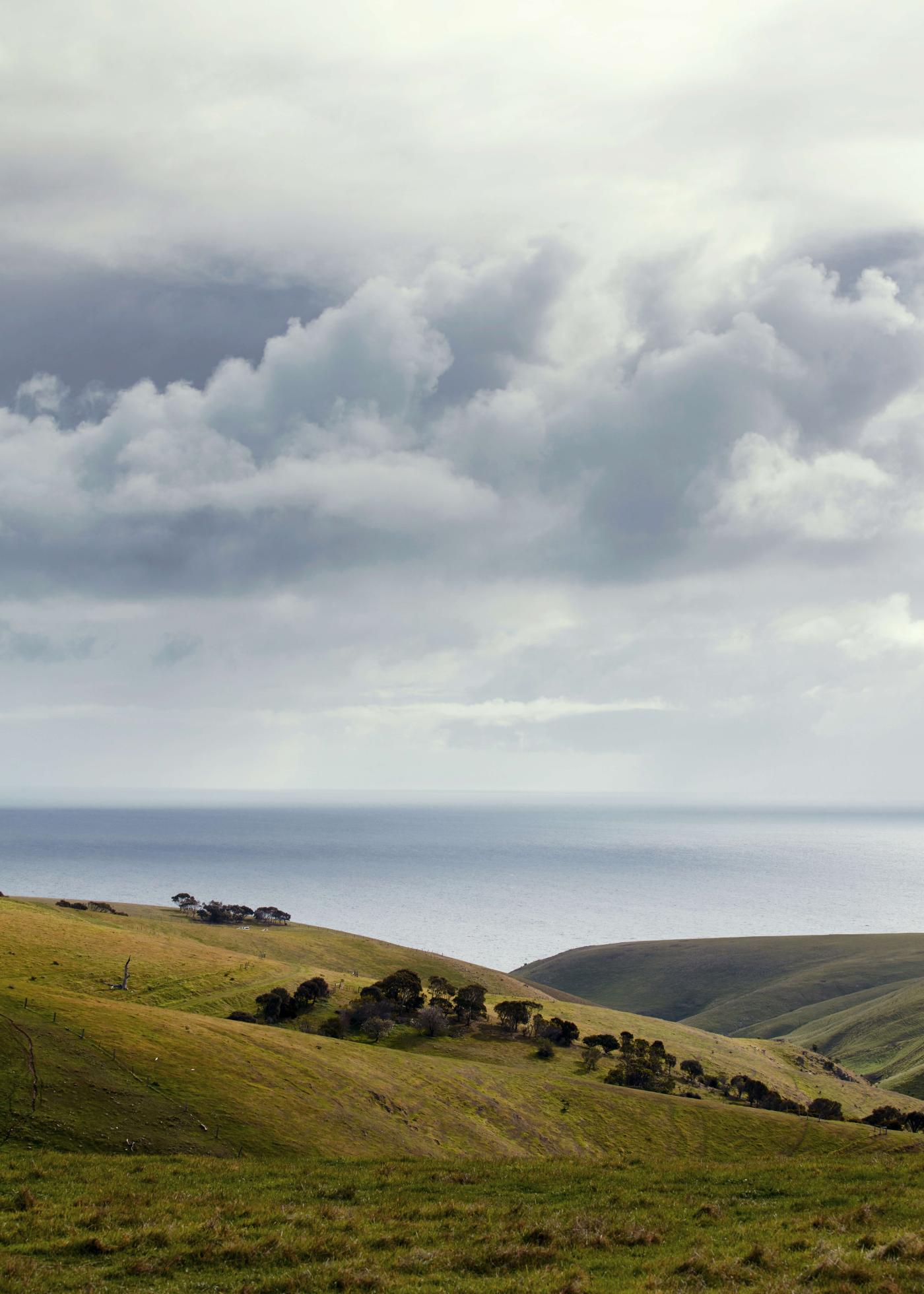 SeanFennessey_Medownick_Straight