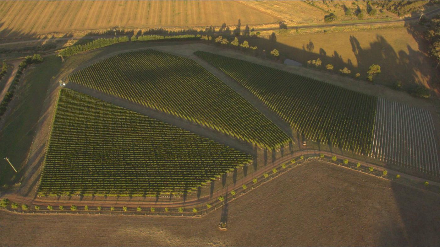 By Farr Wines case study preview